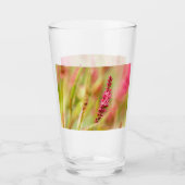 kleurstruik glas (Voorkant)