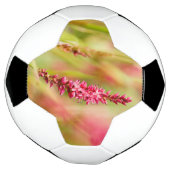 kleurstruik voetbal (Gedraaid)