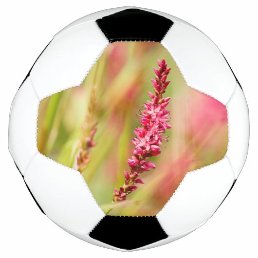 kleurstruik voetbal (Voorkant)