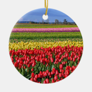 Kleurtulpveld Keramisch Ornament