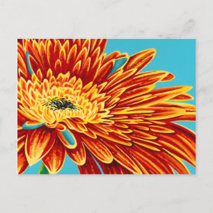 Kleurverbranding I Briefkaart