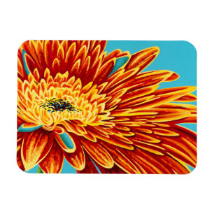 Kleurverbranding I Magneet