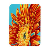 Kleurverbranding I Magneet (Verticaal)