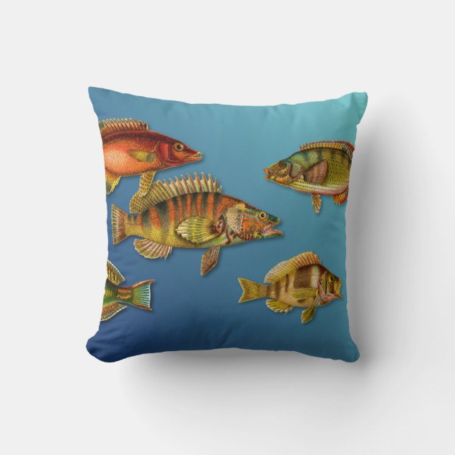 Kleurvis Kussen (Voorkant)