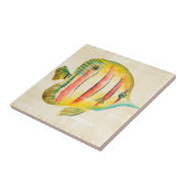 Kleurvis Tegeltje (Zijkant)