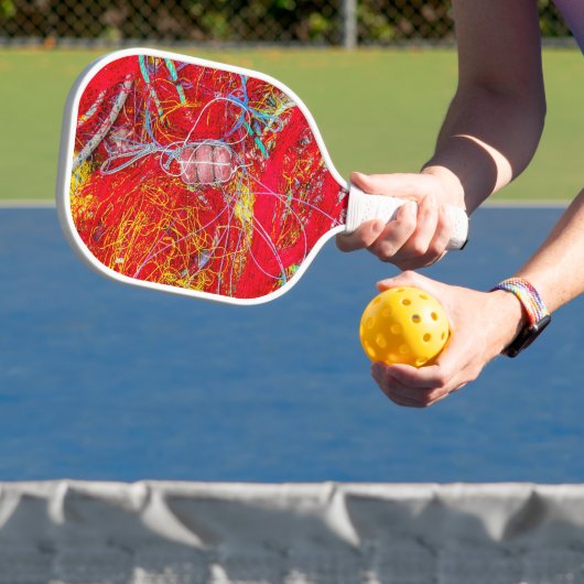 Kleurvisnetten Pickleball Paddle (Insitu)