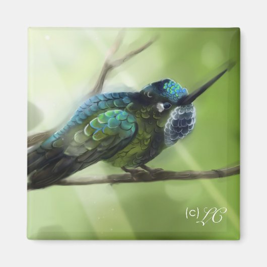 kleurvlieg magneet (Voorkant)