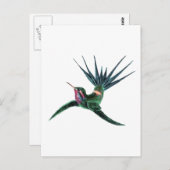 Kleurvogel Briefkaart (Voorkant / Achterkant)