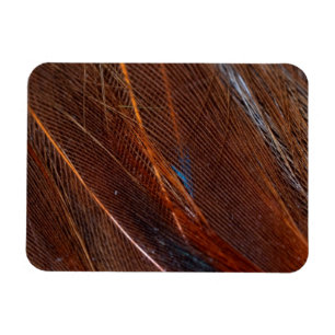 Kleurvolle Peacock Feather in detail Magneet