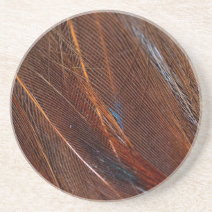 Kleurvolle Peacock Feather in detail Zandsteen Onderzetter