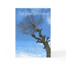 Klim hoog in een boom boomverzorger