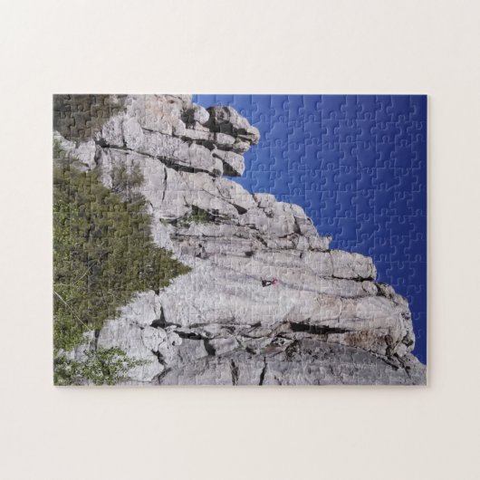 Klimaatverandering in het nationale reservaat van  legpuzzel (Horizontaal)