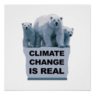 Klimaatverandering is echt perfect poster