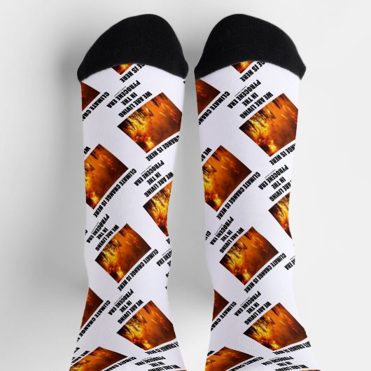 Klimaatverandering is hier het leven van een pyroc sokken (Top)