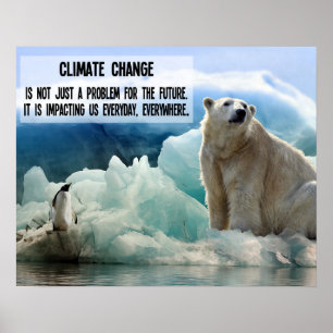 Klimaatverandering met pinguïn en poolbeer poster