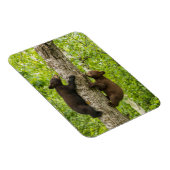 Klimboom met zwarte Beren Magneet (Rechterzijde)