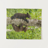 Klimboom met zwarte Beren Wandkleed (Voorkant (horizontaal))