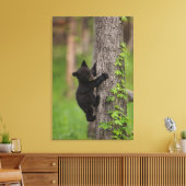 Klimboom voor zwarte Beren Canvas Afdruk (Insitu (Woonkamer))