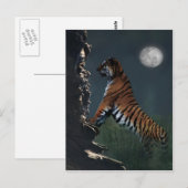 Klimmen van tijgers briefkaart (Voorkant / Achterkant)