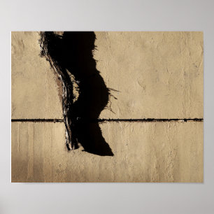 Klimop en Schaduw Poster