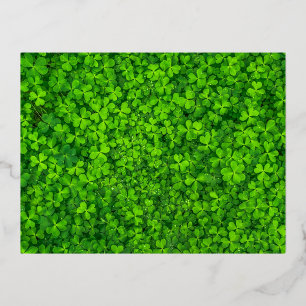 Klimopgroen, St. Patrick's Day, Folie Feestdagen Briefkaart