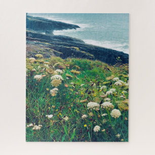 Klippenwand Dunmore East Waterford Ierland. Legpuzzel