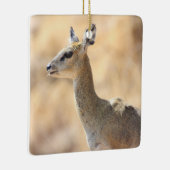 Klipspringer-antilope Keramisch Ornament (Rechts)