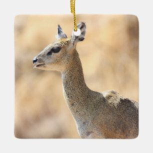 Klipspringer-antilope Keramisch Ornament