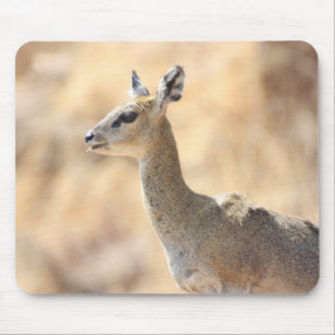 Klipspringer-antilope Muismat