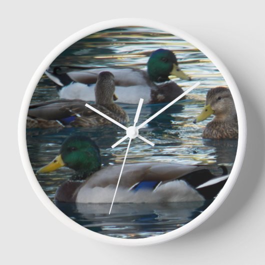 Klok - Duck Duck Duck Duck Duck (Voorkant)