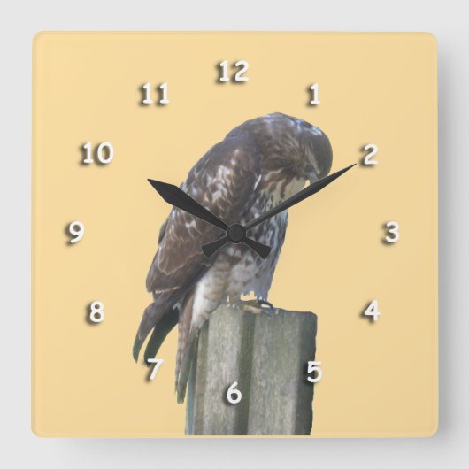 Klok - Falcon on Post (Voorkant)