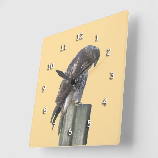 Klok - Falcon on Post (Hoek)