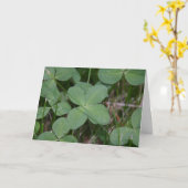 Klok Kaart (Gele Bloem)