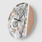 Klok - Kitten Watching (Hoek)