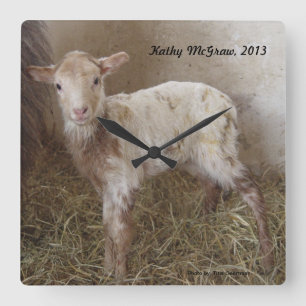 Klok: lamb KathyMcGraw Vierkante Klok