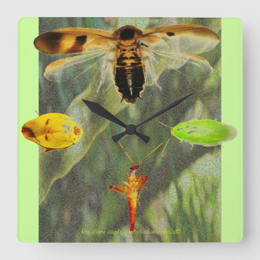 "Klok Roach" Roach-liefhebbers zullen hier van hou Vierkante Klok (Voorkant)