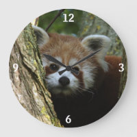 Klok - rode panda