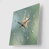 Klok - Spider op internet (Hoek)