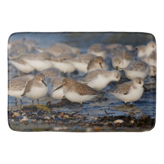 Klok van Dunlins en Sanderlings bij het strand Badmat (Voorkant)