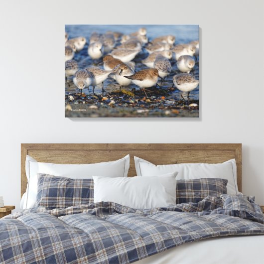 Klok van Dunlins en Sanderlings bij het strand Canvas Afdruk (Insitu (Slaapkamer))