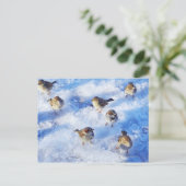 Klok van het huis Sparrows "Passer domesticus" op Briefkaart (Staand voorkant)