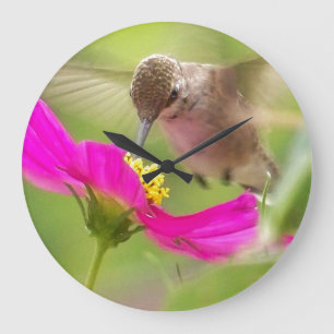 Klok voor vogelpest Ventilator