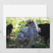 Klokje Kaart (Voorkant / Achterkant)