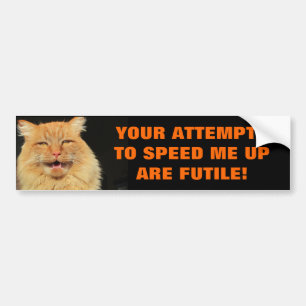 Klokkenluiders Pogingen zijn Futile Cat Meme Bumpersticker