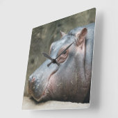 Klokklok van de heupotamus vierkante klok (Hoek)