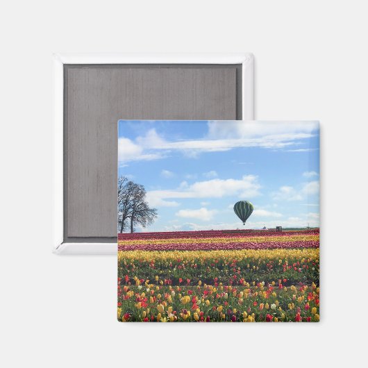 Klomp Tulip Boerderij, Woodburn, Oregon Magneet (Voorkant / Achterkant)