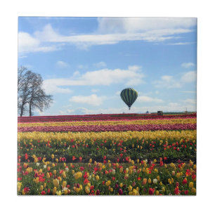 Klomp Tulip Boerderij, Woodburn, Oregon Tegeltje