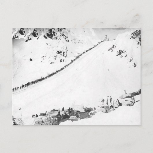 Klondikers van Alaska Briefkaart (Voorkant)