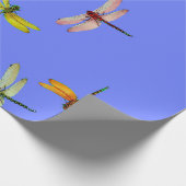 KLORFUL DRAGONFLIES OP BLAUW CADEAUPAPIER (Hoek)