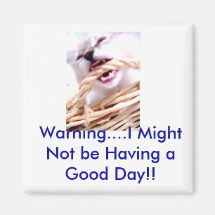 kluismagneet magneet